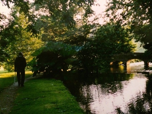 History of Bibury Court_e0309501_18321154.jpeg