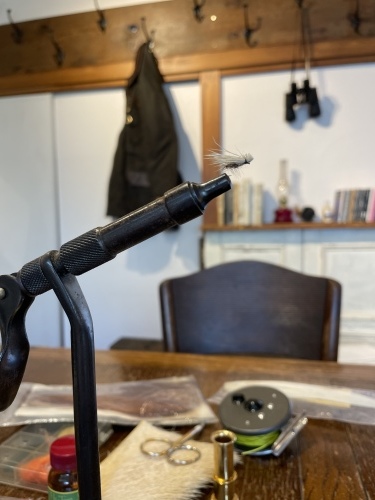 秋物 ちょい見せ_e0309501_07144450.jpeg