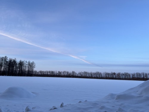 北の大地 その1_e0309501_09385323.jpeg