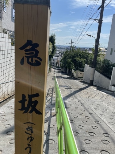 秋物 ちょい見せ_e0309501_09412102.jpeg