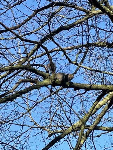 いざダブリン その2_e0309501_10132083.jpeg