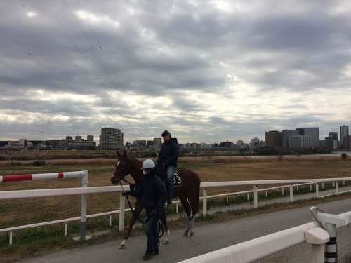 雑誌 HUNT_e0309501_1222982.jpg