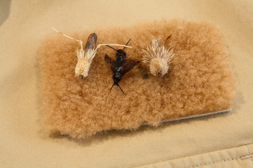 アングラーズ ジャツジャケット_e0309501_1251337.jpg