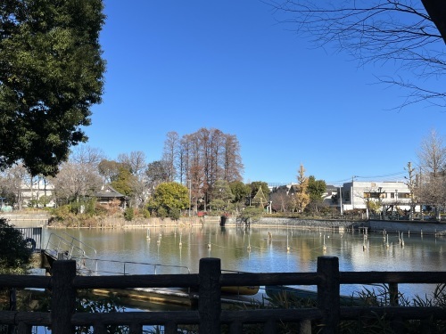 2024年 スタート_e0309501_16060201.jpeg