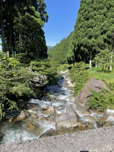 休憩タイム 渓流編_e0309501_16190970.jpeg