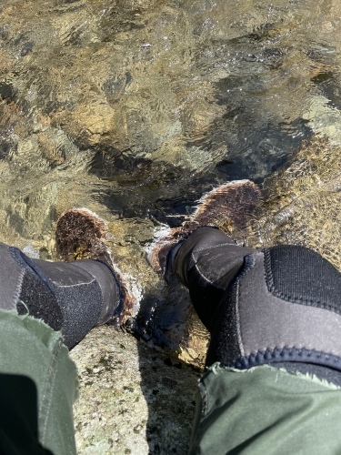 休憩タイム 渓流編_e0309501_16195449.jpeg