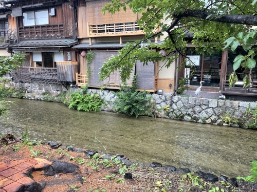 休憩タイム 渓流編_e0309501_17333575.jpeg