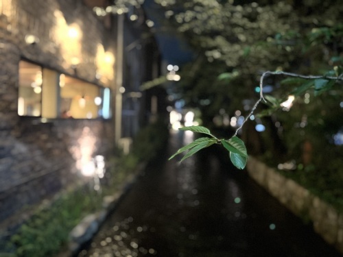 7月の京都_e0309501_18125199.jpeg