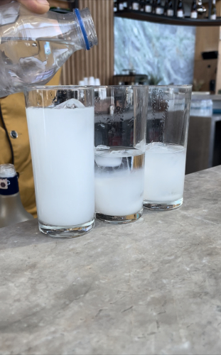 いざダブリン その1_e0309501_23293090.jpeg