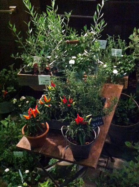 『The garden world』_e0309501_313752.jpg