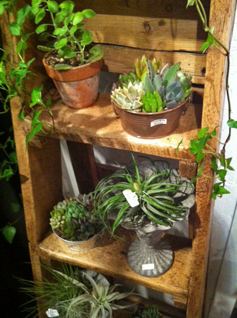 『The garden world』_e0309501_323432.jpg