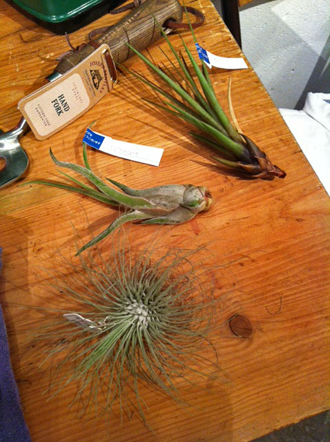 『The garden world』_e0309501_332363.jpg